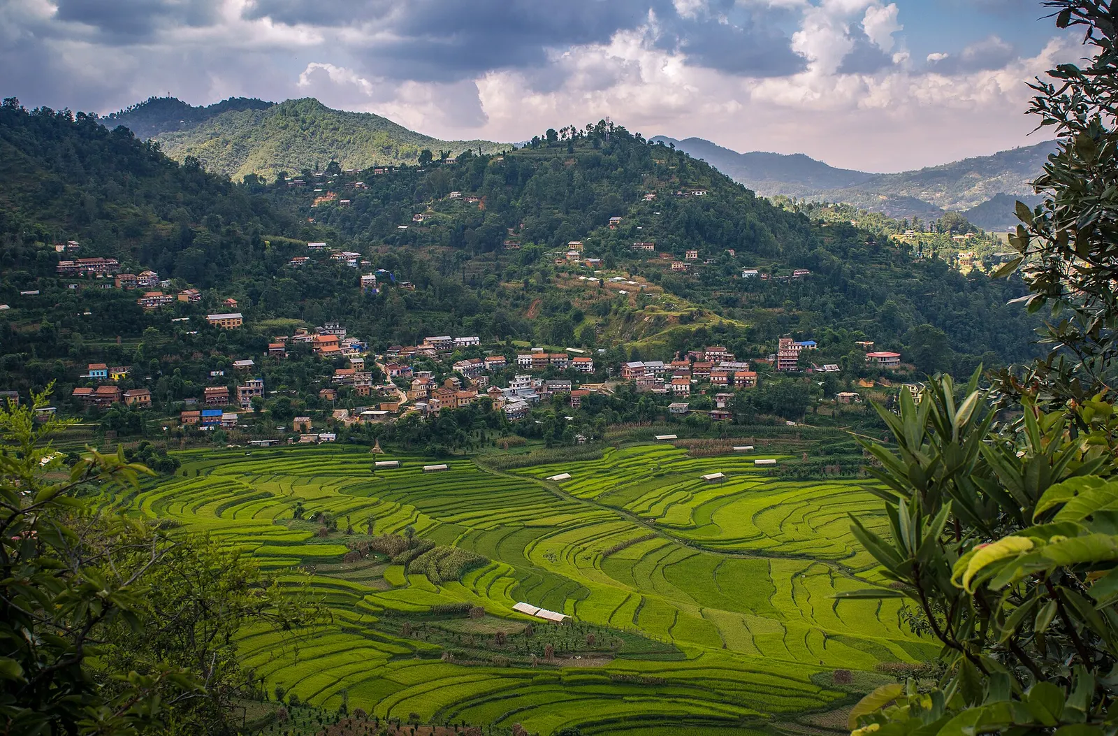 Houses and terraced fields of Balthali village on a hillside.