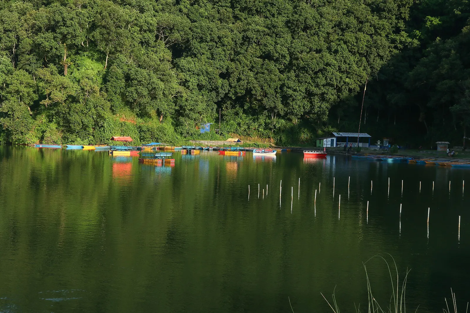 Rows of colourful wooden rowing boats moored at the boat landing on Begnas Lake.