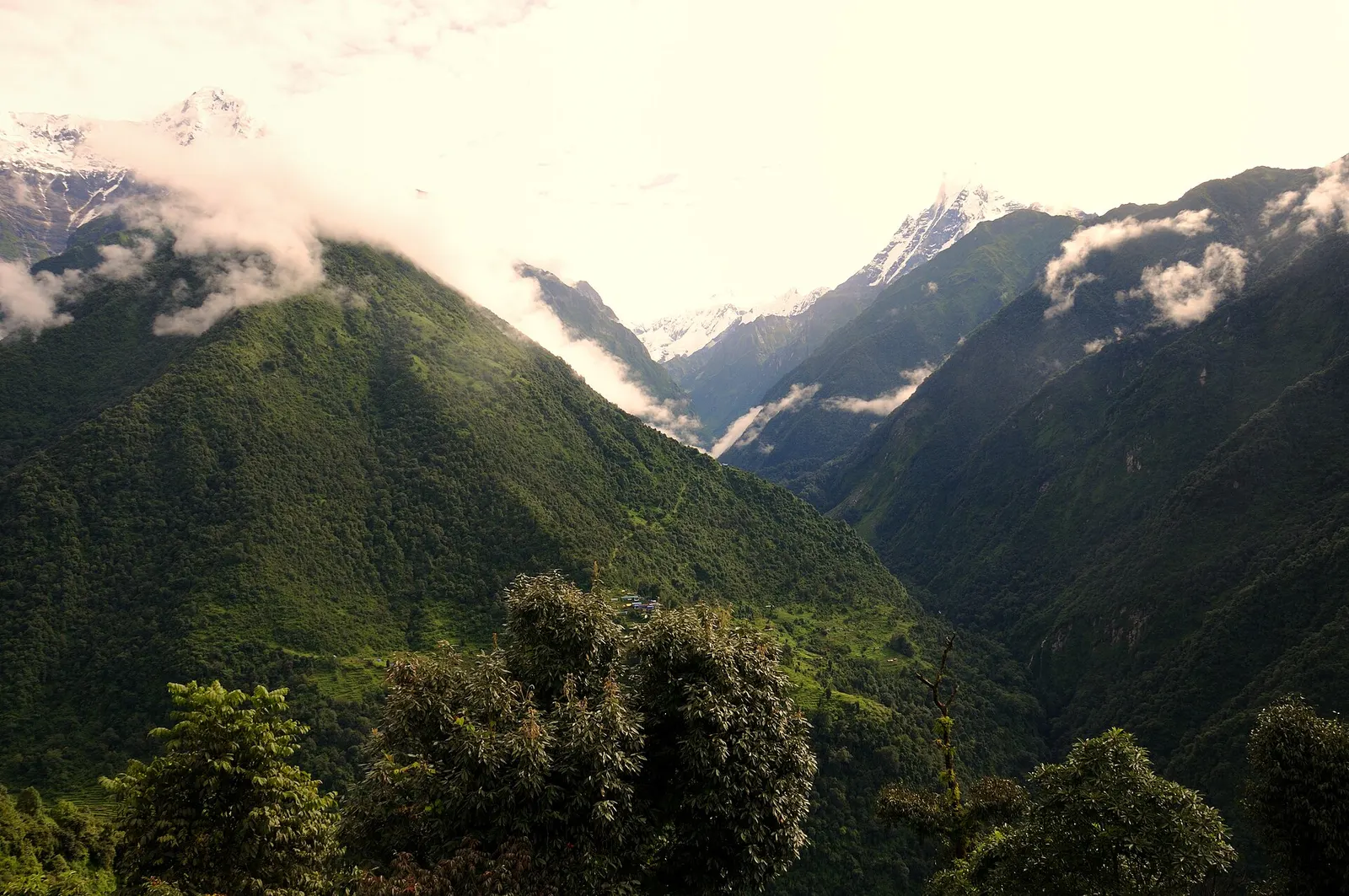 The Modi Khola valley leading north towards the Annapurna Sanctuary, seen from Chhomrong.