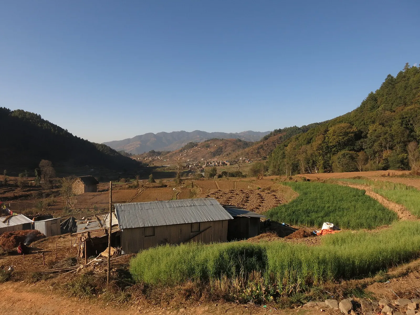 Farmland and houses of Chitlang village in a green valley.