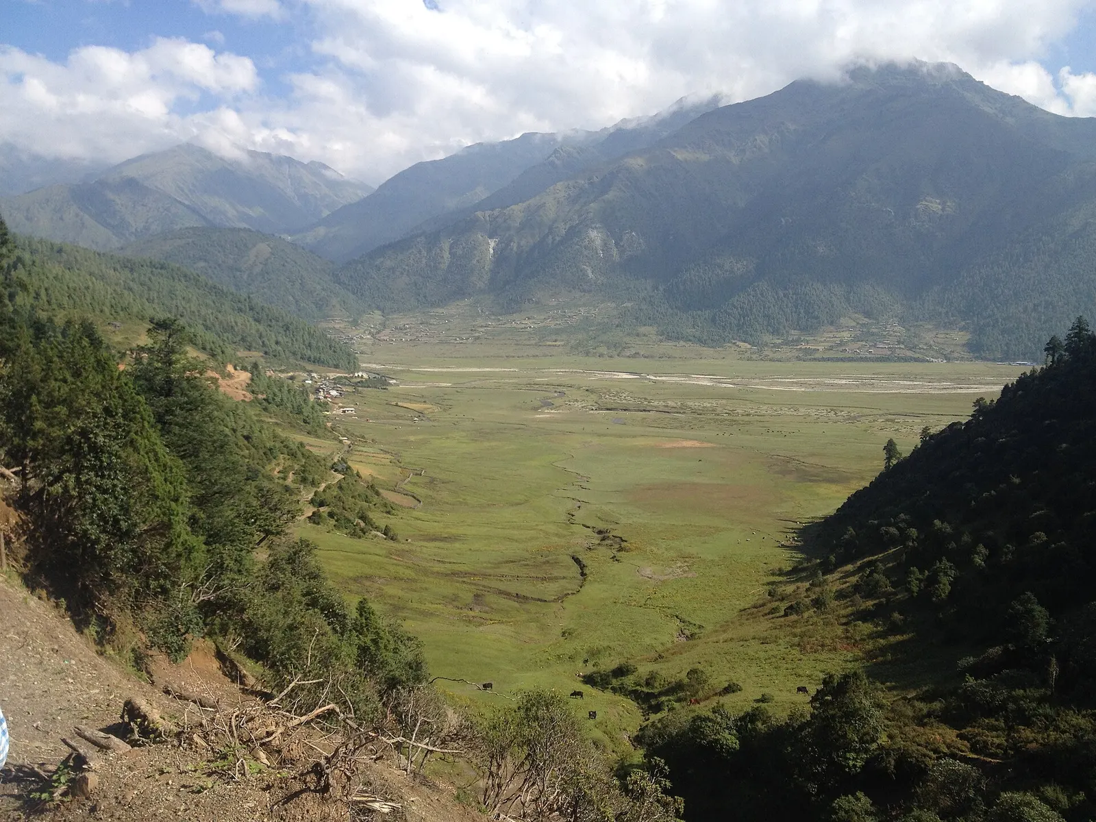 The open grassland plateau of Dhorpatan ringed by forested hills.