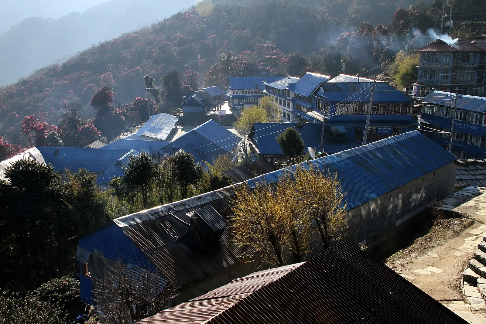 Trekking lodges in Ghorepani village on a forested ridge.