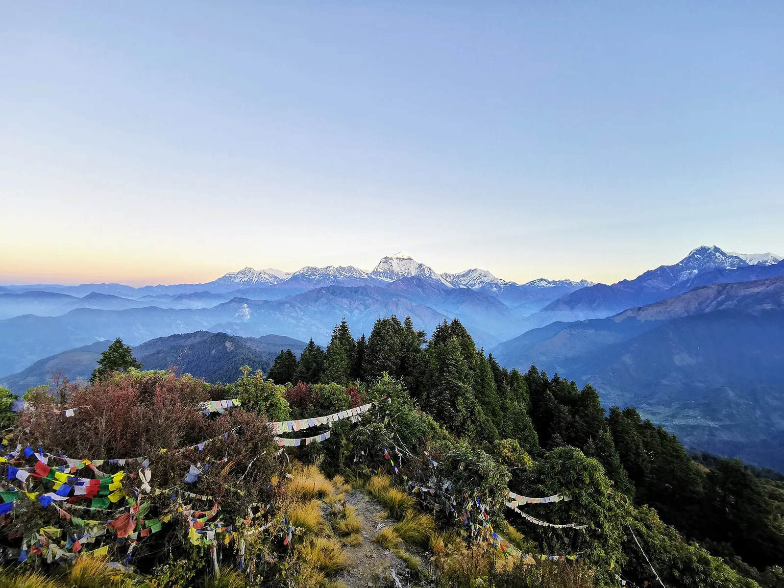 Sunrise light on the Dhaulagiri massif seen from Poon Hill above Ghorepani.