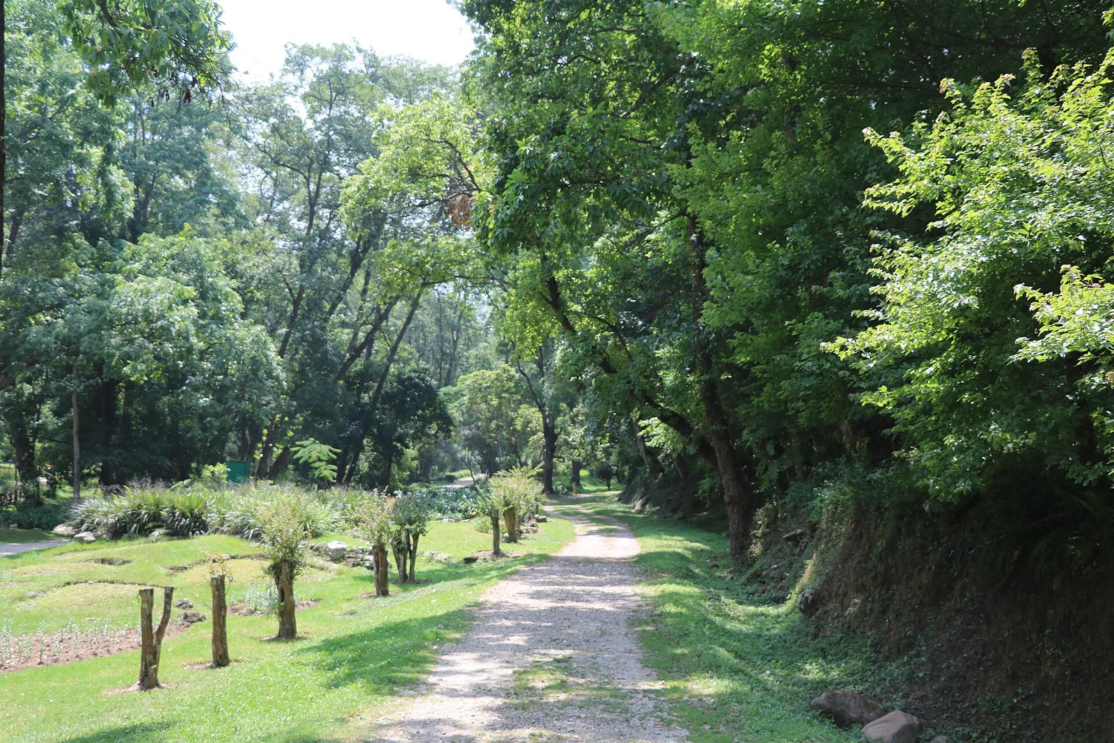 Lawns, trees and flower beds in the National Botanical Garden at Godawari.