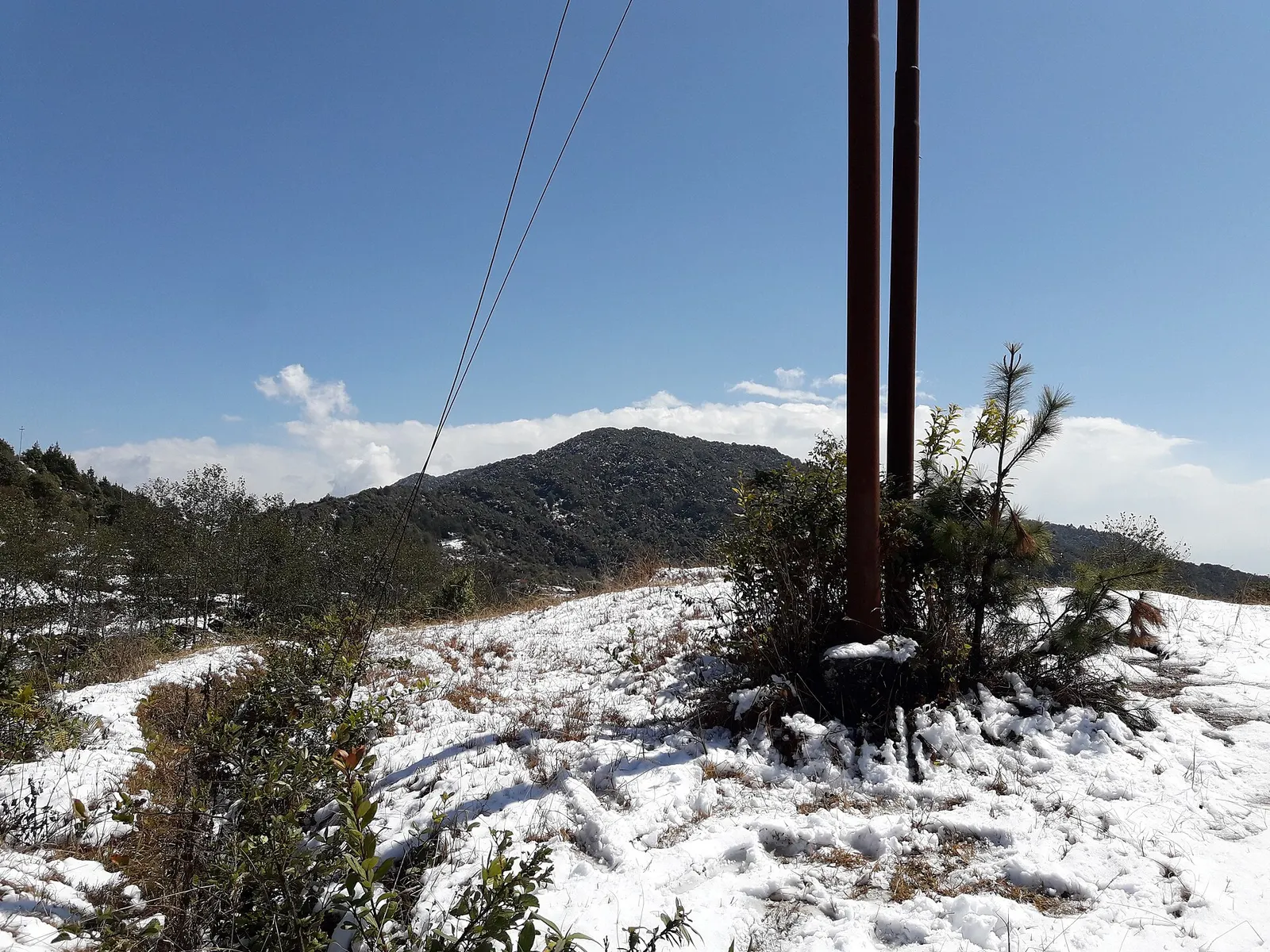 Snow on the ground and trees at Kakani after a winter storm.