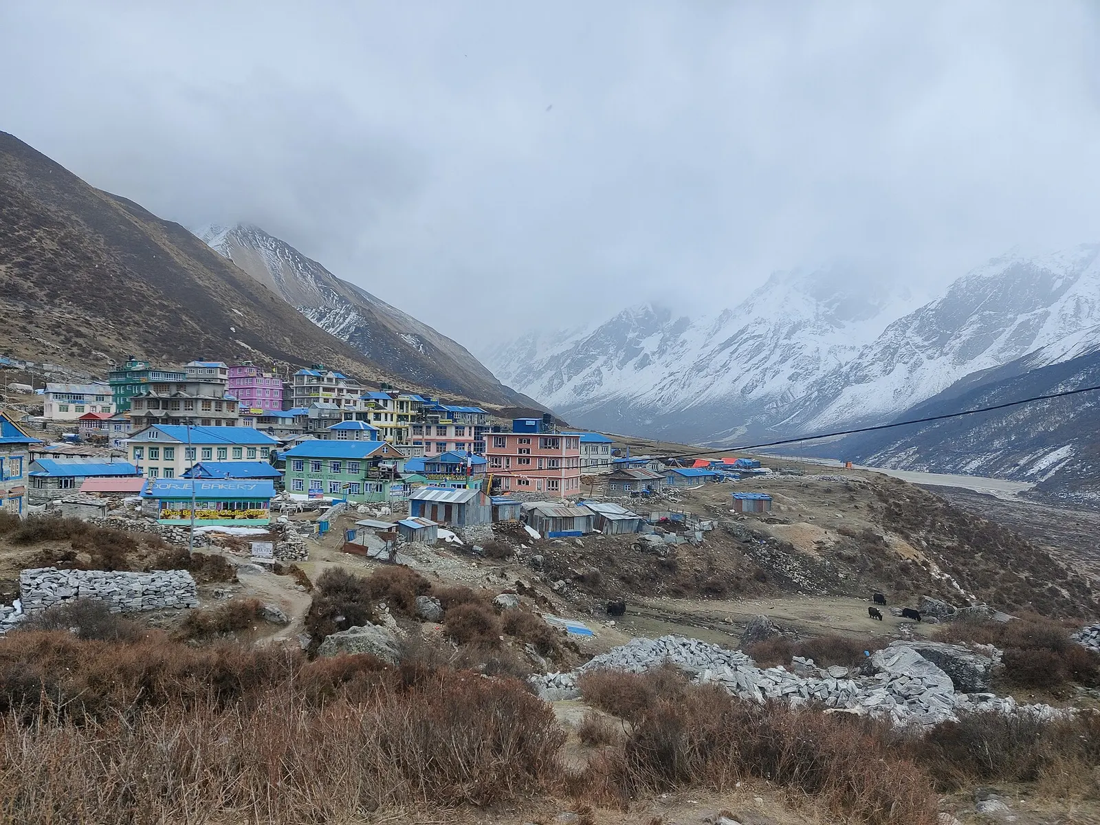 Lodges and houses of Kyanjin Gompa on the valley floor below snow peaks.