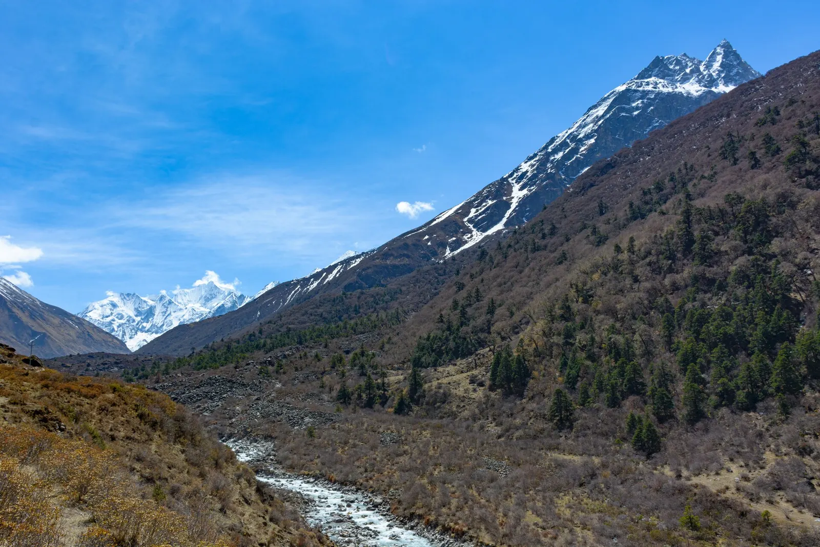 Gangchempo and Dorje Lhakpa rising above the upper Langtang Valley.