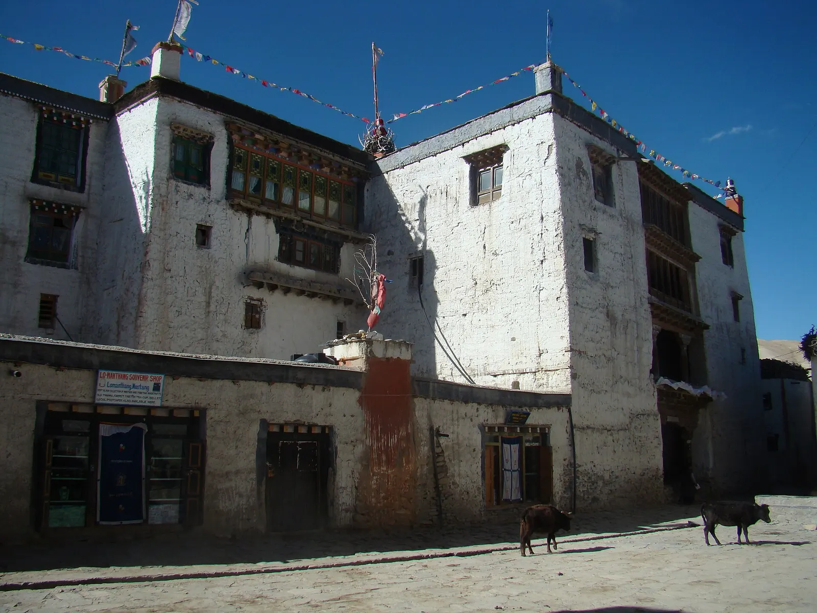 The whitewashed multi-storey royal palace inside the walls of Lo Manthang.