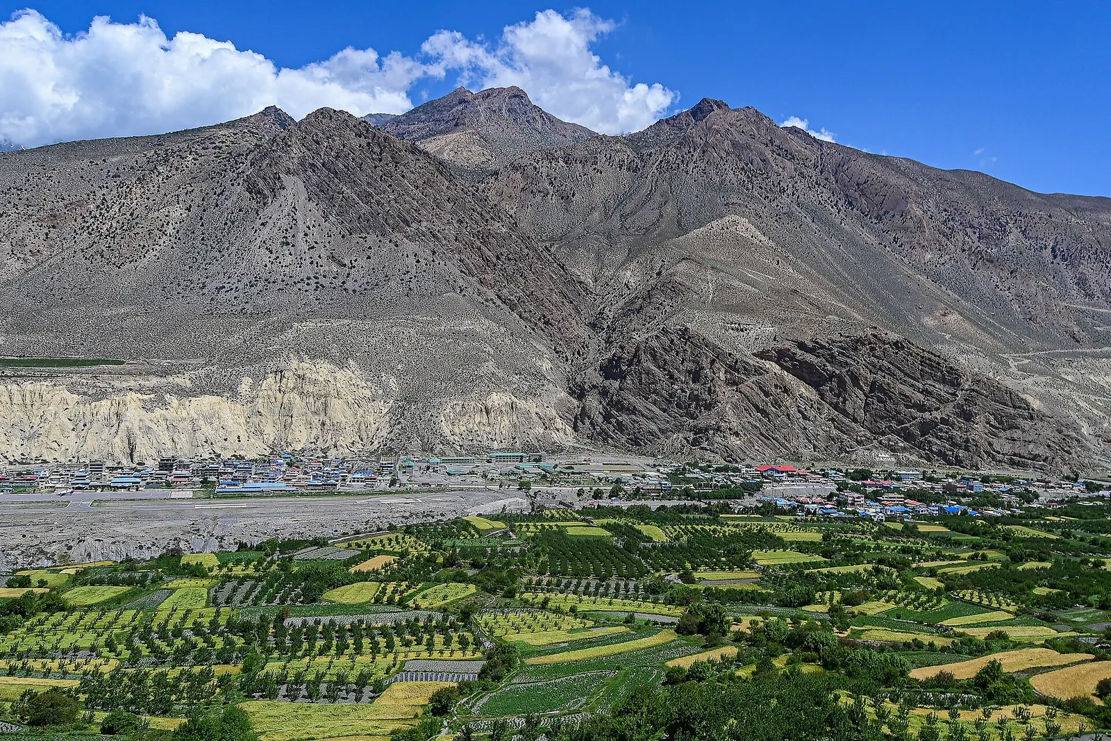 Green fields in front of Lo Manthang, with bare grey mountains rising behind the town.
