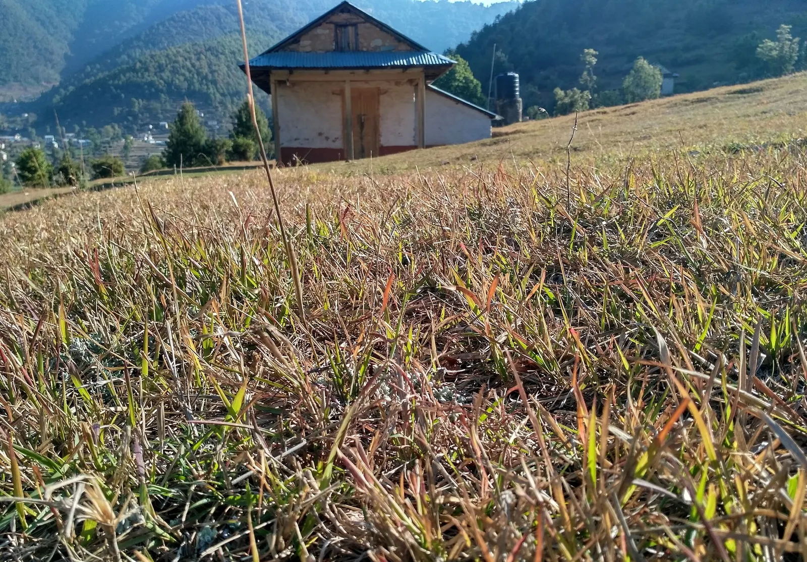 Hills and farmland around Chitlang in northern Makwanpur.