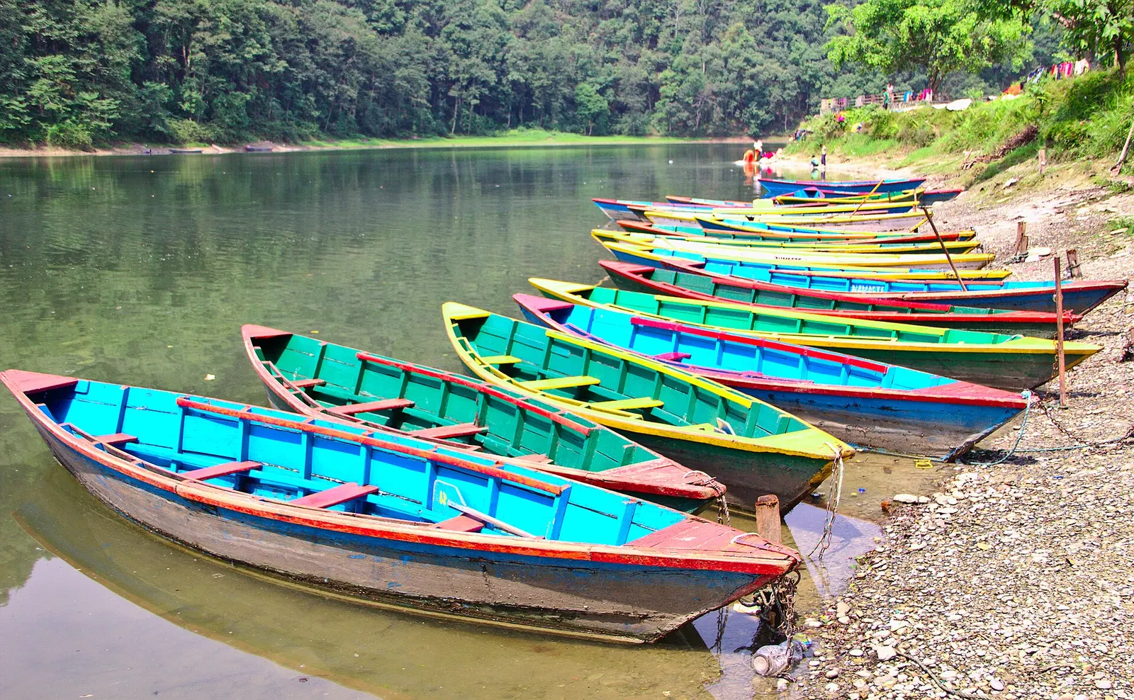Brightly painted wooden rowing boats pulled up on a pebbly shore of Phewa Lake below a forested hill.