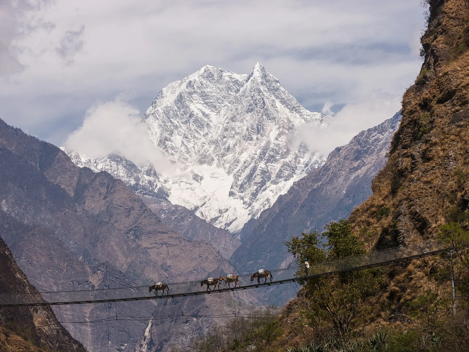 A long suspension bridge over the Kali Gandaki near Tatopani with Nilgiri South behind.