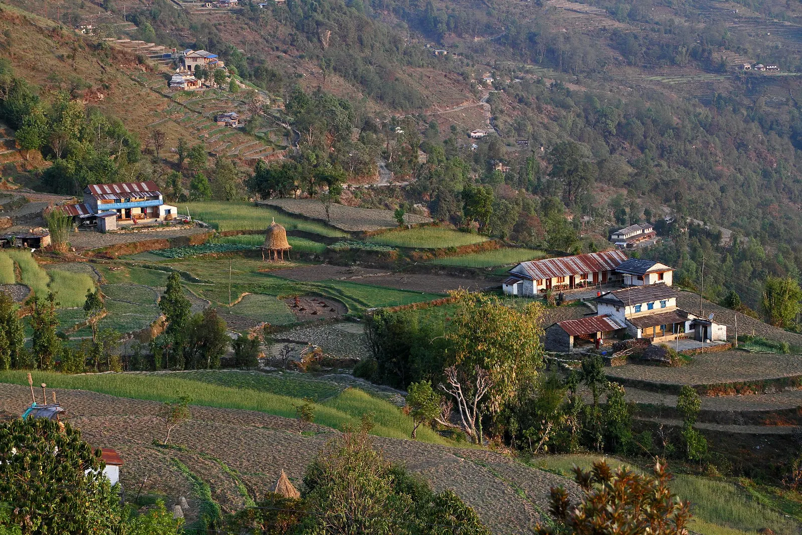 Farmhouses and terraced fields spread across the hillside at Dhampus.
