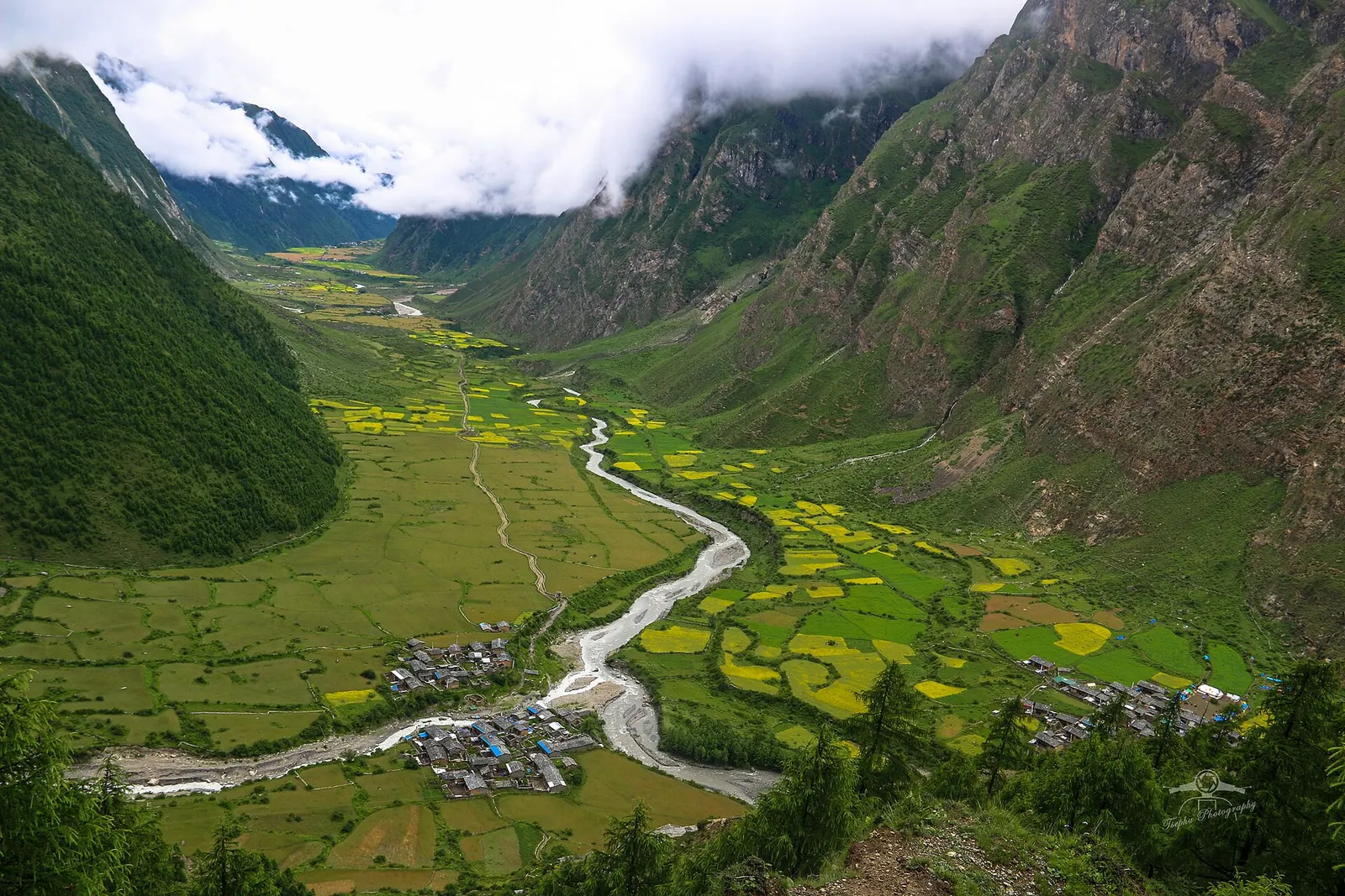 A braided river winds through green and yellow fields in the upper Tsum Valley, with two clusters of stone villages and steep cloud-capped slopes on either side.
