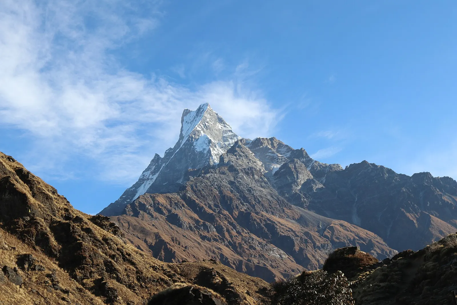 The fishtail summit of Machhapuchhre above brown grassy ridges near Mardi Himal High Camp